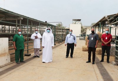 وكيل الثروة الحيوانية: أعمال الصيانة للمحجر البيطري مستمرة على مدار العام