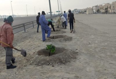 بدء أعمال المرحلة الثانية من مشروع تأهيل وزراعة شارع المحرق الدائري