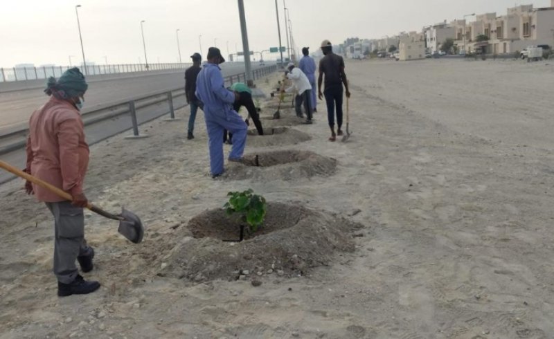 بدء أعمال المرحلة الثانية من مشروع تأهيل وزراعة شارع المحرق الدائري