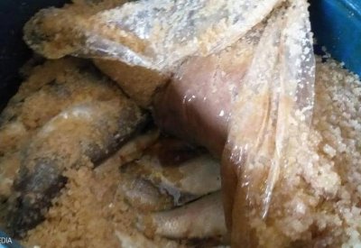 خبر كل عام.. مصر تضبط أطنانا من السمك الفاسد قبل شم النسيم