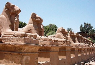 الأقصر المصرية تتحول إلى مركز لصناعة السينما بالقارة الأفريقية