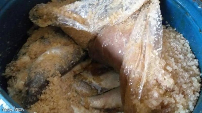 خبر كل عام.. مصر تضبط أطنانا من السمك الفاسد قبل شم النسيم
