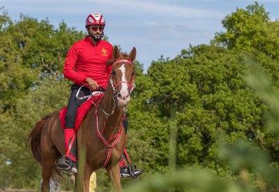 ناصر بن حمد يؤكد جاهزية الفريق الملكي لبطولة العالم للقدرة في بيزا الإيطالية