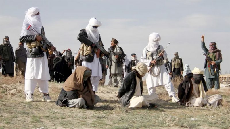 تقرير للبنتاغون يكشف: علاقة طالبان بالقاعدة لا تزال متينة