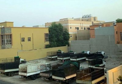القبيسي: تخصيص مناطق سكنية للعمالة الوافدة قنبلة موقوتة