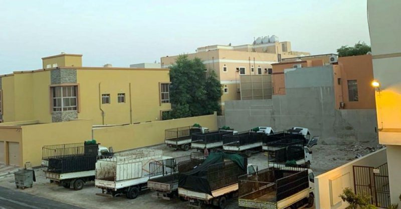 القبيسي: تخصيص مناطق سكنية للعمالة الوافدة قنبلة موقوتة