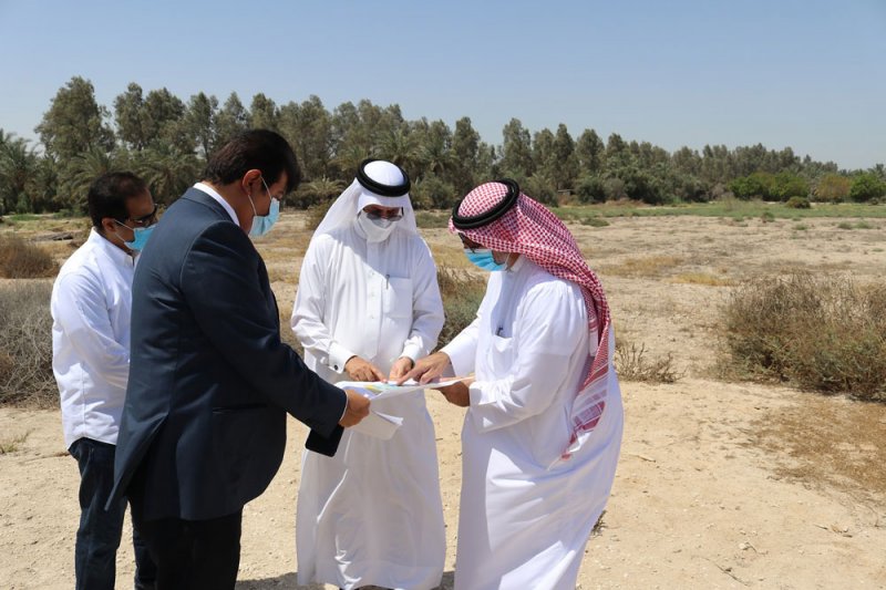 أبوالفتح: طرح مناقصة لتطوير البنية التحتية للمجمع الوراثي للأشجار المثمرة بهورة عالي