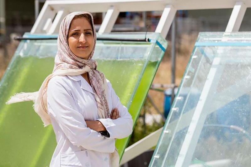 الثقافي البريطاني يطلق "Climate Connection" لمواجهة الطوارئ المناخية
