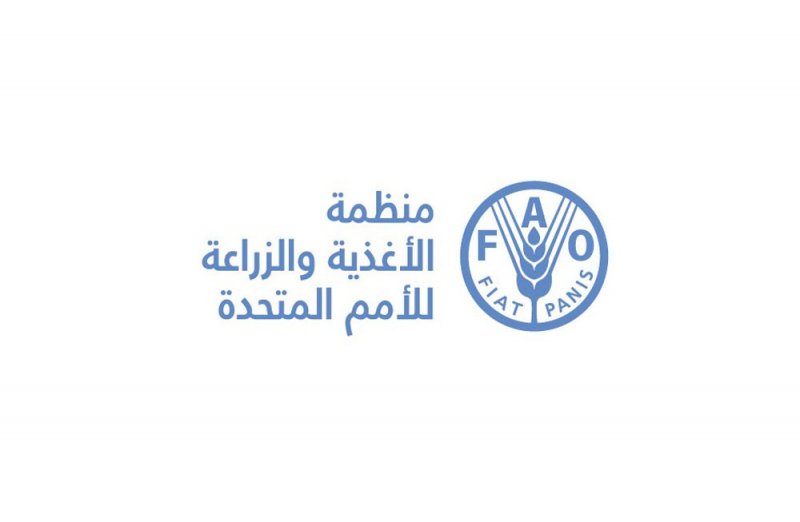 منظمة الأغذية والزراعة "فاو": أسعار الغذاء تسجل أعلى ارتفاع لها خلال نحو عقد