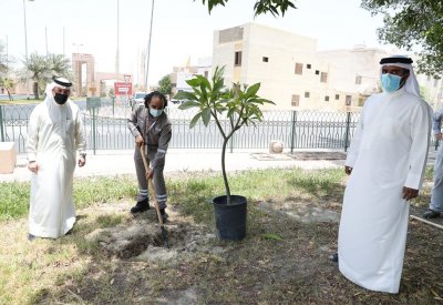 المحافظة الجنوبية تنظم مبادرة بيئية ومجتمعية تزامناً مع اليوم العالمي للبيئة