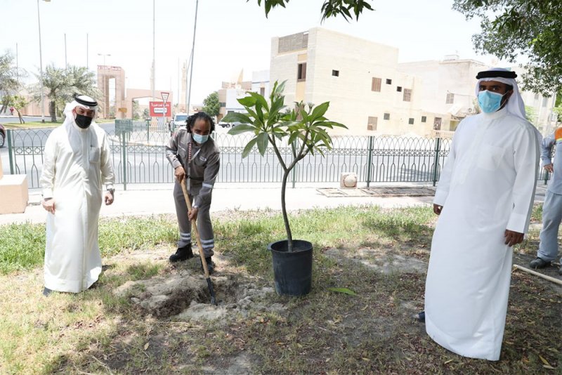 المحافظة الجنوبية تنظم مبادرة بيئية ومجتمعية تزامناً مع اليوم العالمي للبيئة