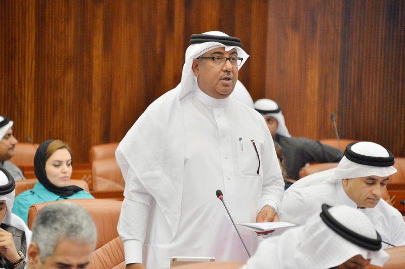 الدمستاني: الرؤية الملكية ترعى الحصانة الوطنية لكل المواطنين