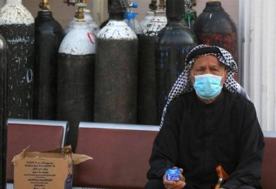 حقيقة خطورة الفطر الأسود والأخضر.. دولة عربية تحسم الجدل