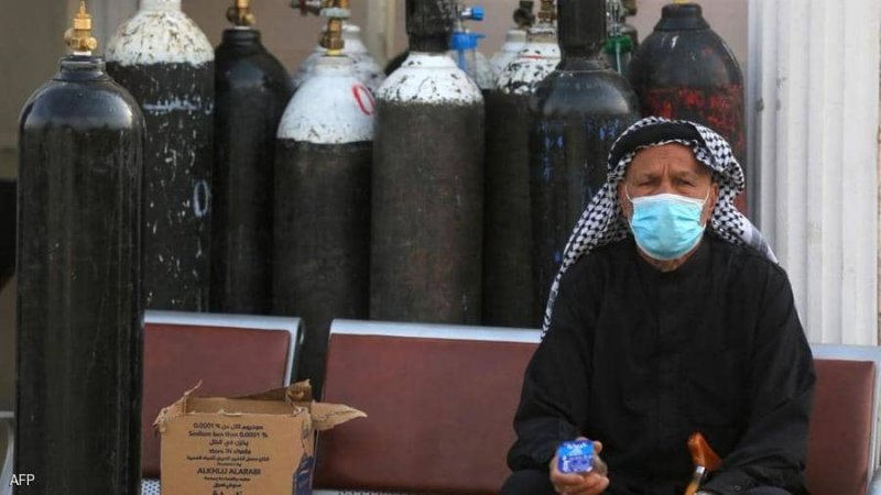 حقيقة خطورة الفطر الأسود والأخضر.. دولة عربية تحسم الجدل