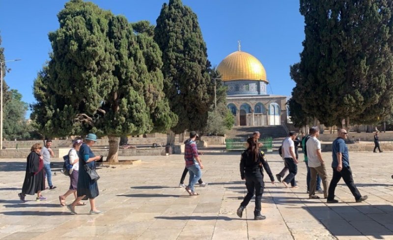 مستوطنون يقتحمون المسجد الأقصى بحماية مشددة من الشرطة