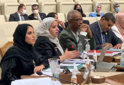 الزايد: قرار البرلمان الأوروبي جاء مجحفًا وماسًا بالسيادة والشأن الداخلي للمملكة المغربية