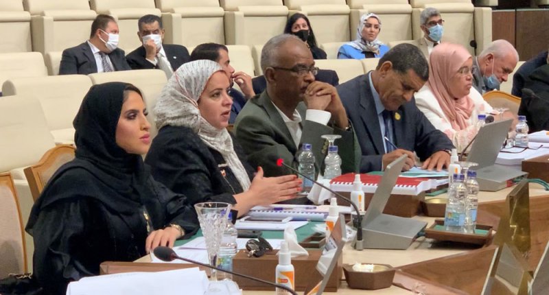 الزايد: قرار البرلمان الأوروبي جاء مجحفًا وماسًا بالسيادة والشأن الداخلي للمملكة المغربية