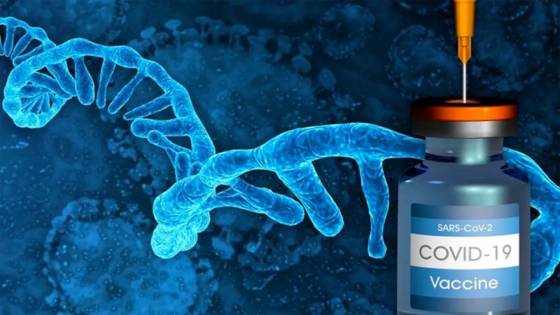 دراسة جديدة.. هذان اللقاحان قد يخلقان مناعة مدى الحياة ضد كورونا