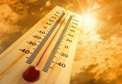 بدء موسم الجوزاء ويستمر 26 يوما والرياح تشتد أحيانا