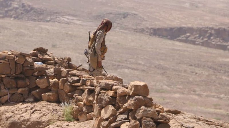 اليمن.. تحرير مديرية الزاهر بالبيضاء وسط فرحة عارمة