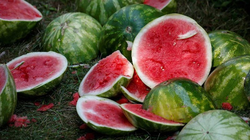 فاكهة الصيف.. 8 فوائد رائعة للبطيخ لا يعرفها كثيرون