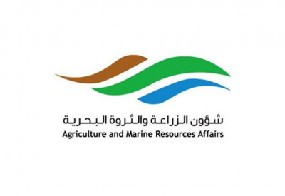 "الثروة البحرية": حظور شمال سترة خطرٌ يهدد سلامة البحارة وتعدٍ على الأملاك والدورة الطبيعية لنمو الأسماك