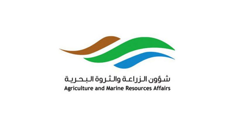 "الثروة البحرية": حظور شمال سترة خطرٌ يهدد سلامة البحارة وتعدٍ على الأملاك والدورة الطبيعية لنمو الأسماك