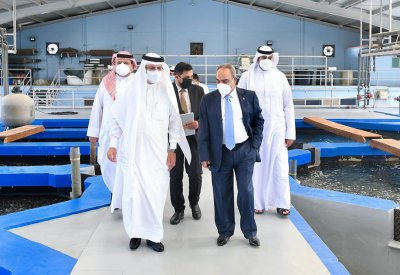 خلف يؤكد مضي الأشغال قدما في مشاريع الاستزراع السمكي