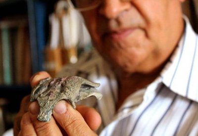 عمره 150 مليون عام.. اكتشاف "جد" تماسيح العصر الحديث