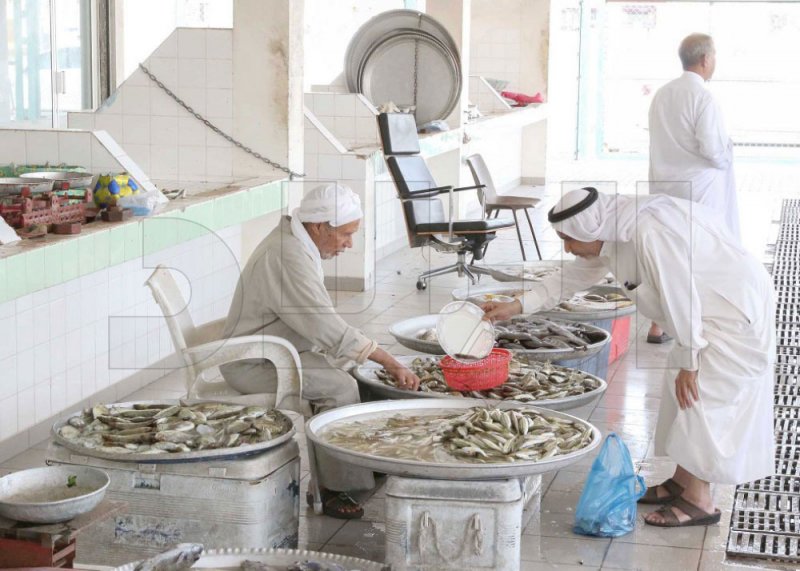 المحامية بن رجب: لا عقوبة لمن يشتري الروبيان بموسم الحظر