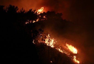 امتداد حرائق الغابات إلى مناطق جديدة في لبنان والجيش يدفع بمروحياته لمحاصرتها
