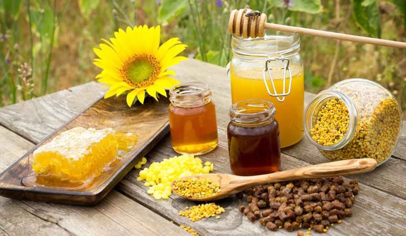 فوائد "ذهبية" لغذاء ملكة النحل