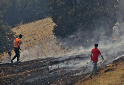 النجاح بإخماد جميع الحرائق في ولاية تيزي وزو الجزائرية