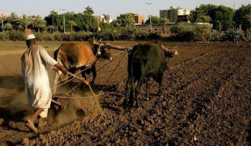 سحب أرض البحرين الزراعية في السودان