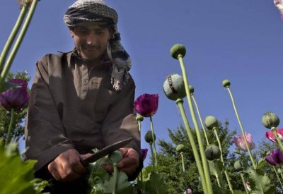 خلال 20 عاما.. كيف مولت طالبان حربها في أفغانستان؟