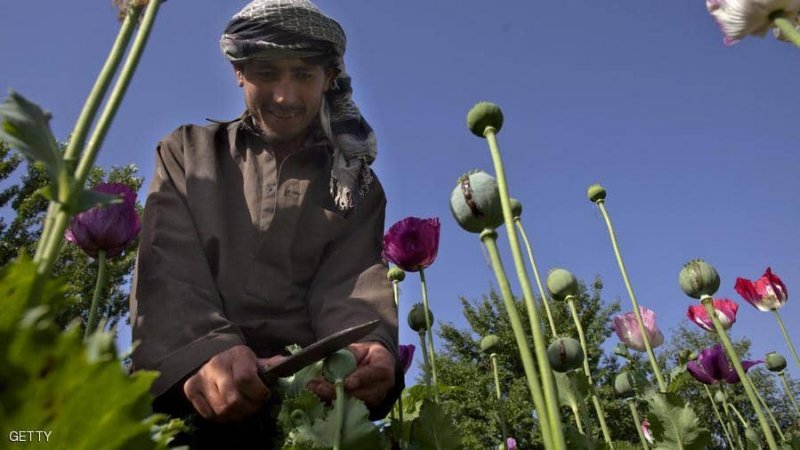خلال 20 عاما.. كيف مولت طالبان حربها في أفغانستان؟