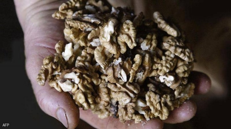 دراسة تكشف فوائد مذهلة لـ "الجوز".. المفتاح لحياة أطول