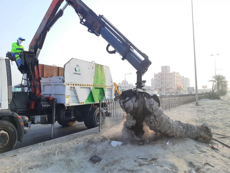 البلديات تزيل النخلة الساجدة