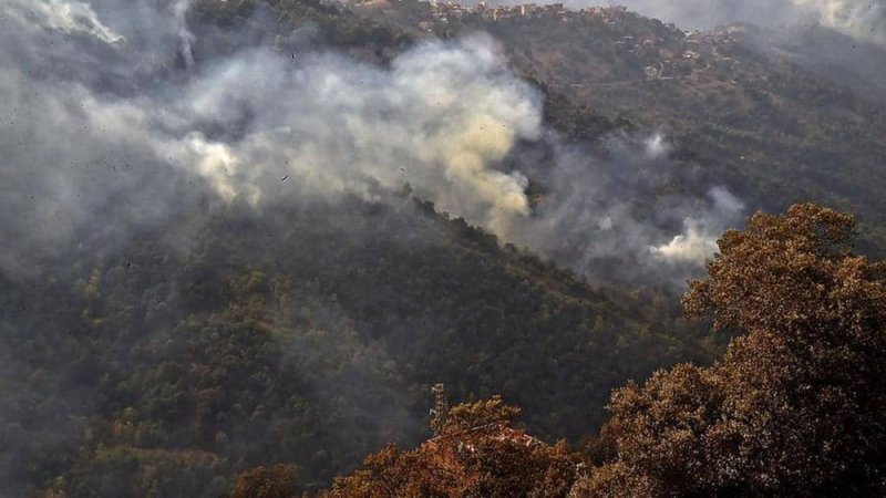 مبادرة لغرس 1.5 مليون شجرة لإعادة "رئة الجزائر" بعد الحرائق
