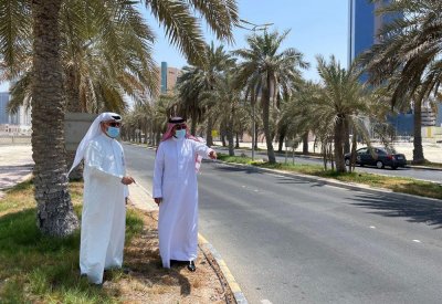 البلديات تنفذ برنامج التشجير وفق معايير التنمية المستدامة