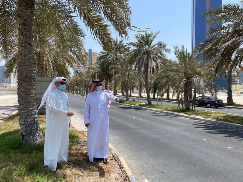 البلديات تنفذ برنامج التشجير وفق معايير التنمية المستدامة