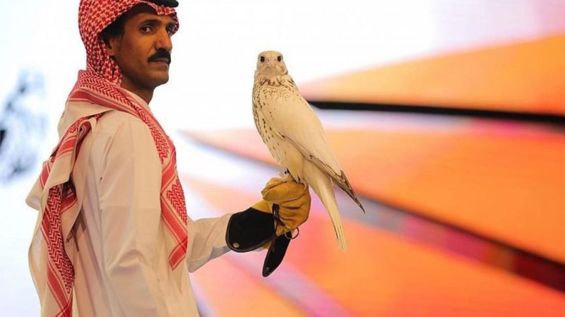 أغلى صقر بالعالم.. بيع بمزاد دولي للصقور في السعودية وهذا ثمنه