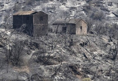 حرائق الغابات بالجزائر.. اعتقال 30 شخصا بشبهة إشعال النيران