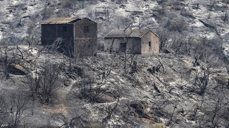 حرائق الغابات بالجزائر.. اعتقال 30 شخصا بشبهة إشعال النيران