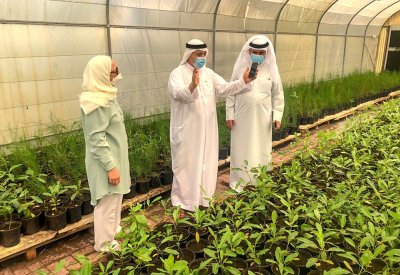 وكيل البلديات: التوسع في إنشاء المشاتل ضمن إستراتيجية الوزارة في التخضير والتجميل