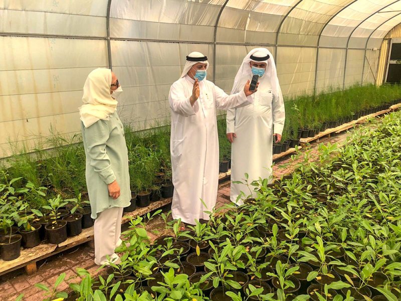 وكيل البلديات: التوسع في إنشاء المشاتل ضمن إستراتيجية الوزارة في التخضير والتجميل