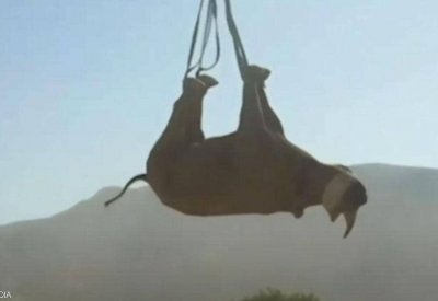 جوائز "آي جي نوبل 2021" تكرّم أصحاب الاختراعات السخيفة