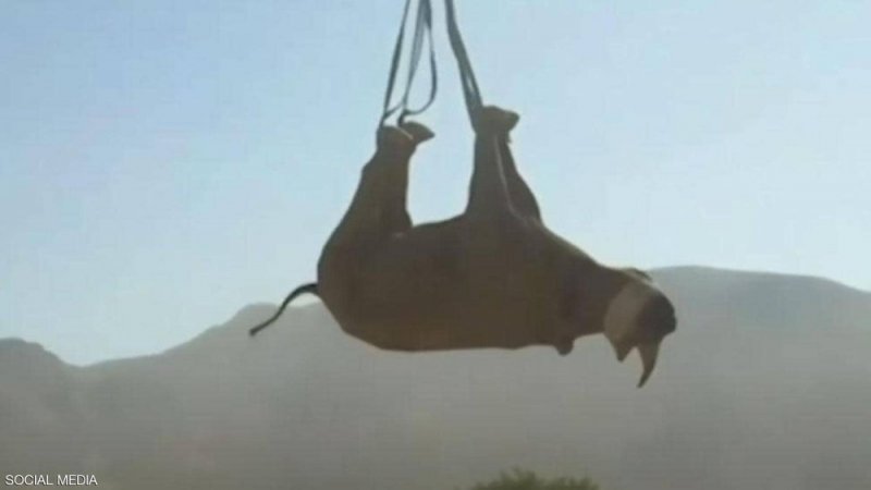 جوائز "آي جي نوبل 2021" تكرّم أصحاب الاختراعات السخيفة