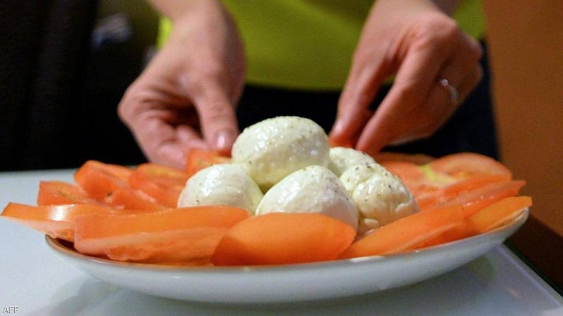 بدون حليب الأبقار.. شركة تصنّع الأجبان في المختبرات
