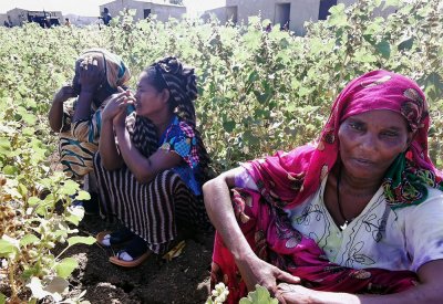 السودان: إثيوبيا تفتعل المشاكل هرباً من محنتها الداخلية